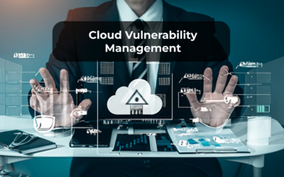 Cloud Vulnerability Management: Detailed Guide