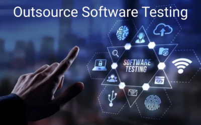 Strategies for Reducing Software Testing Cost